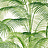 Обои Thibaut Palm Grove T13938