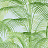 Обои Thibaut Palm Grove T13937