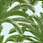 Обои Thibaut Palm Grove T13908