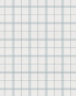 Обои Coordonne Stripes & Checks A00756N