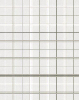 Обои Coordonne Stripes & Checks A00759N