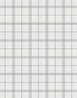 Обои Coordonne Stripes & Checks A00761N