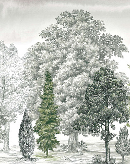 Панно и фотообои Loymina Пейзаж 2 ART14005/1