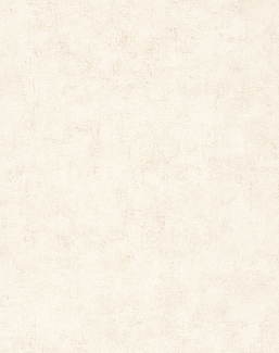 Обои Caselio Beton 2 BTO101491019