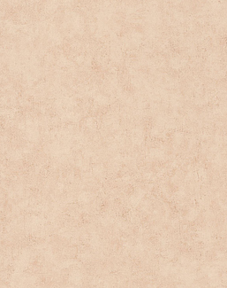 Обои Caselio Beton 2 BTO101482551