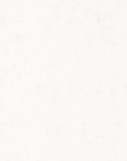 Обои Caselio Beton 2 BTO101480000