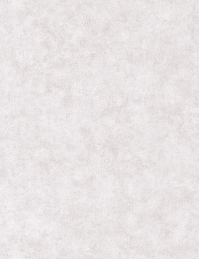 Обои Caselio Beton 2 BTO101489301