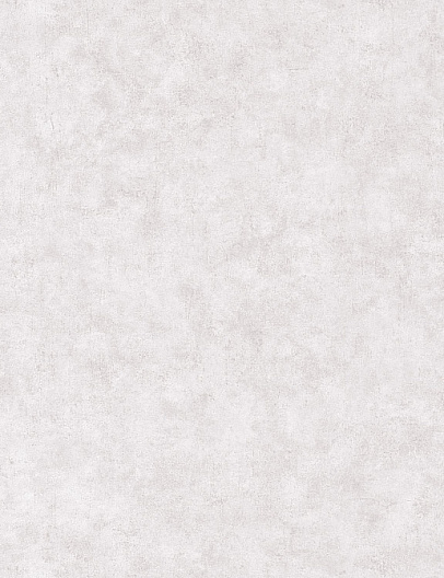 Обои Caselio Beton 2 BTO101489301