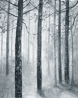 Панно и фотообои Co.De Book 1 F1002