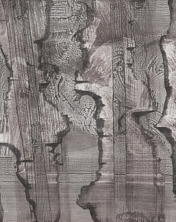 Панно и фотообои Factura Collection 2024 SINESTESIA/2