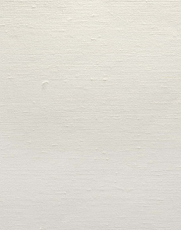 Обои Carl Robinson Edition 20 White Natural Textures CL50068