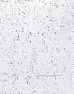 Обои Carl Robinson Edition 20 White Natural Textures DB32900