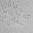 Панно и фотообои Coordonne Rest Time A00941