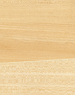 Обои Yate Looking for Chopin LC21018