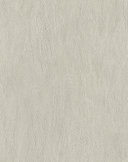 Обои Rasch Allegretto 540833