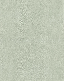 Обои Rasch Allegretto 540840