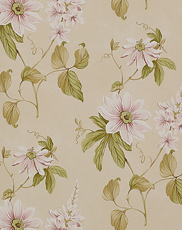 Обои Colefax and Fowler Baptista 07155-01