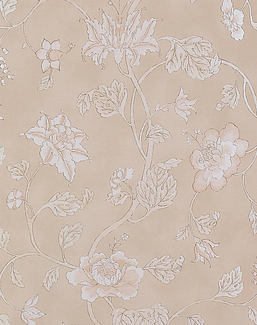 Обои Colefax and Fowler Baptista 07160-01