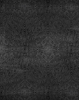 Ткань Galleria Arben Terranova Splendid/10-Onyx