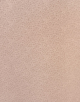 Ткань Prestigious Textiles Icon 3853/212