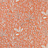 Ткань Nina Campbell Montsoreau NCF4480-05