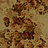 Панно и фотообои JWall 1004 Classic WJG00583