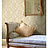 Обои Wallquest Classical Elegance DL70409