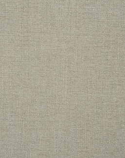 Ткань Designers Guild Bilbao II F1560/49