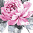 Ткань Designers Guild Viola F1806/01