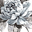 Ткань Designers Guild Viola F1806/02