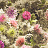 Ткань Designers Guild Viola F1807/01