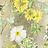 Ткань Designers Guild Madhuri FDG2204/02