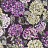 Ткань Designers Guild Madhuri FDG2203/02