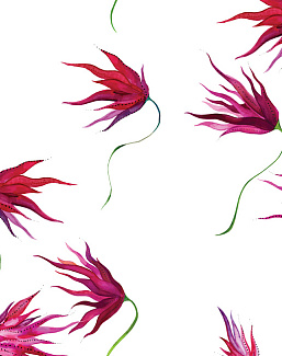 Обои Maison C Wallpaper Collection SKUED001