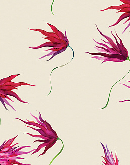 Обои Maison C Wallpaper Collection SKUED002