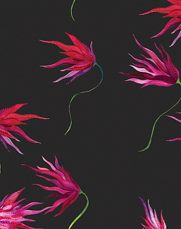 Обои Maison C Wallpaper Collection SKUED003