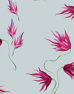 Обои Maison C Wallpaper Collection SKUED004