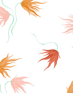 Обои Maison C Wallpaper Collection SKUED005