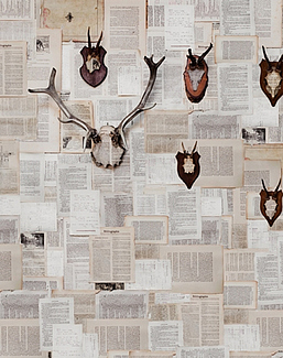 Панно и фотообои Wall & Deco 2015 WDAL1501