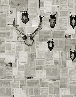 Панно и фотообои Wall & Deco 2015 WDAL1502