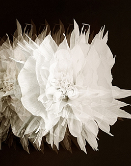 Панно и фотообои Wall & Deco 2015 WDCI1501
