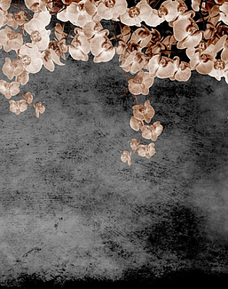 Панно и фотообои Wall & Deco 2013 GPW1318