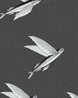 Ткань Flying Fish Interior Textiles П-1-L