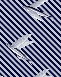 Ткань Flying Fish Interior Textiles T-5-P
