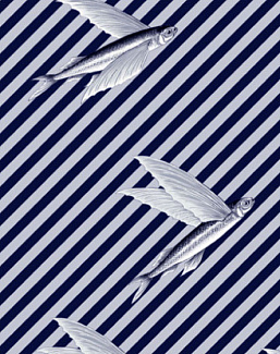 Ткань Flying Fish Interior Textiles T-5-L