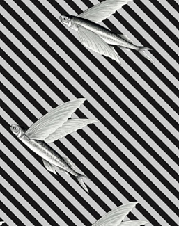 Ткань Flying Fish Interior Textiles И-5-Р