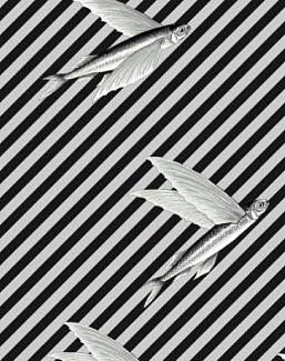 Ткань Flying Fish Interior Textiles И-5-L