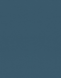 Обои Rasch Topical House 688016