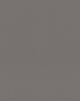 Обои Rasch Topical House 688030