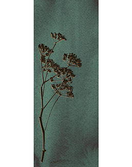 Панно и фотообои Eijffinger Wallpower Favourites 309024